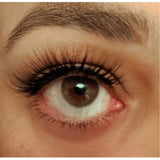 LUST MAGNETIC EYELASH KIT